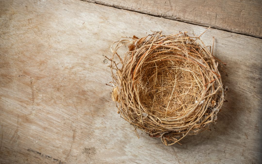 The Best Ways to Empty Nest: Rediscovering Who You Are and Want to Be